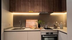 Parksuites (D10), Apartment #595886131
